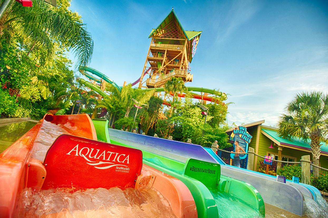 Aquatica water park with colorful slides, palm trees, and sunny tropical atmosphere.