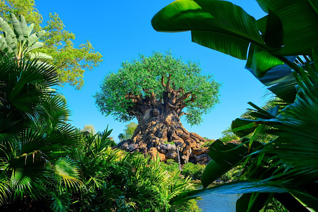 Majestic Tree of Life surrounded by lush tropical greenery under a bright blue sky.