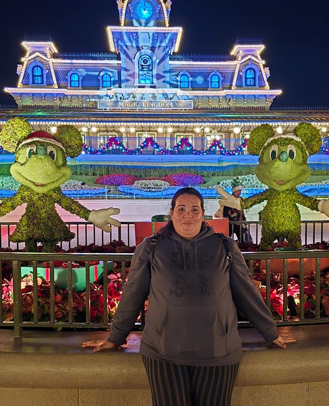 Magical Night Theme Park Entrance